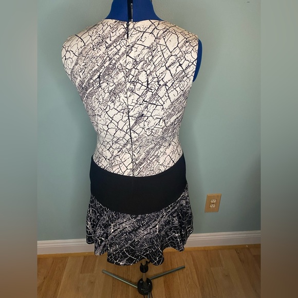 BCBG COLORBLOCK MINI DRESS - Picture 3 of 3